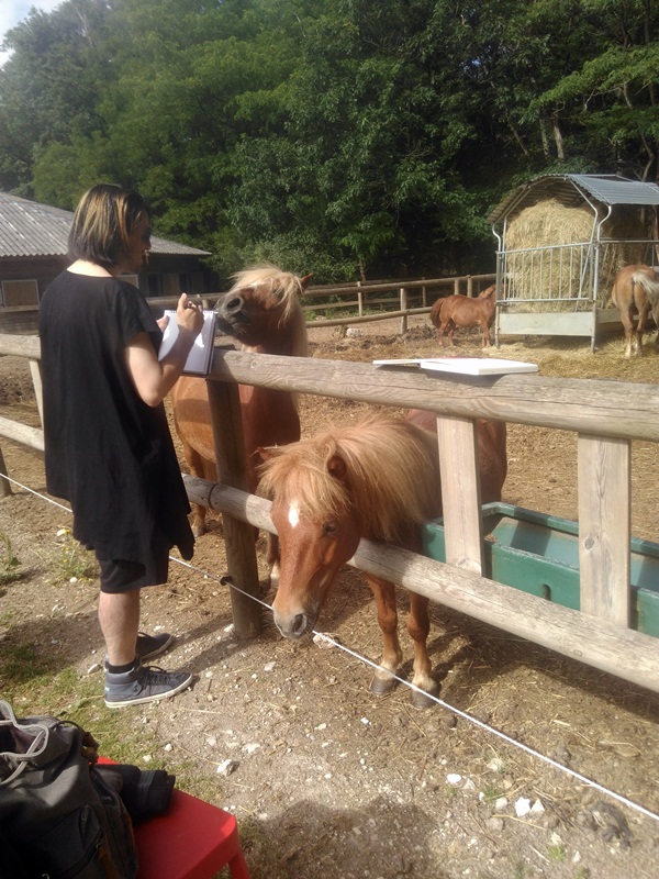 IMG_20170611_100503_1